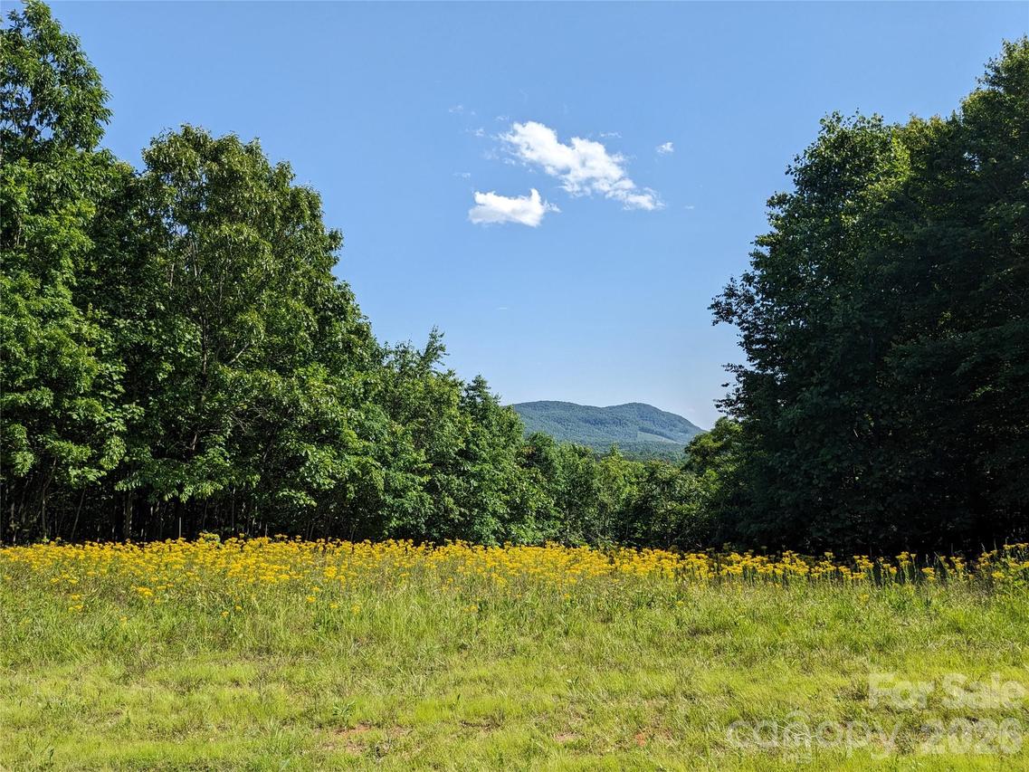 00 Stratford Dr. #78, Bostic, NC 28018