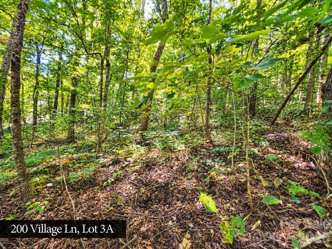 200 Village Ln. #3A, Waynesville, NC 28786