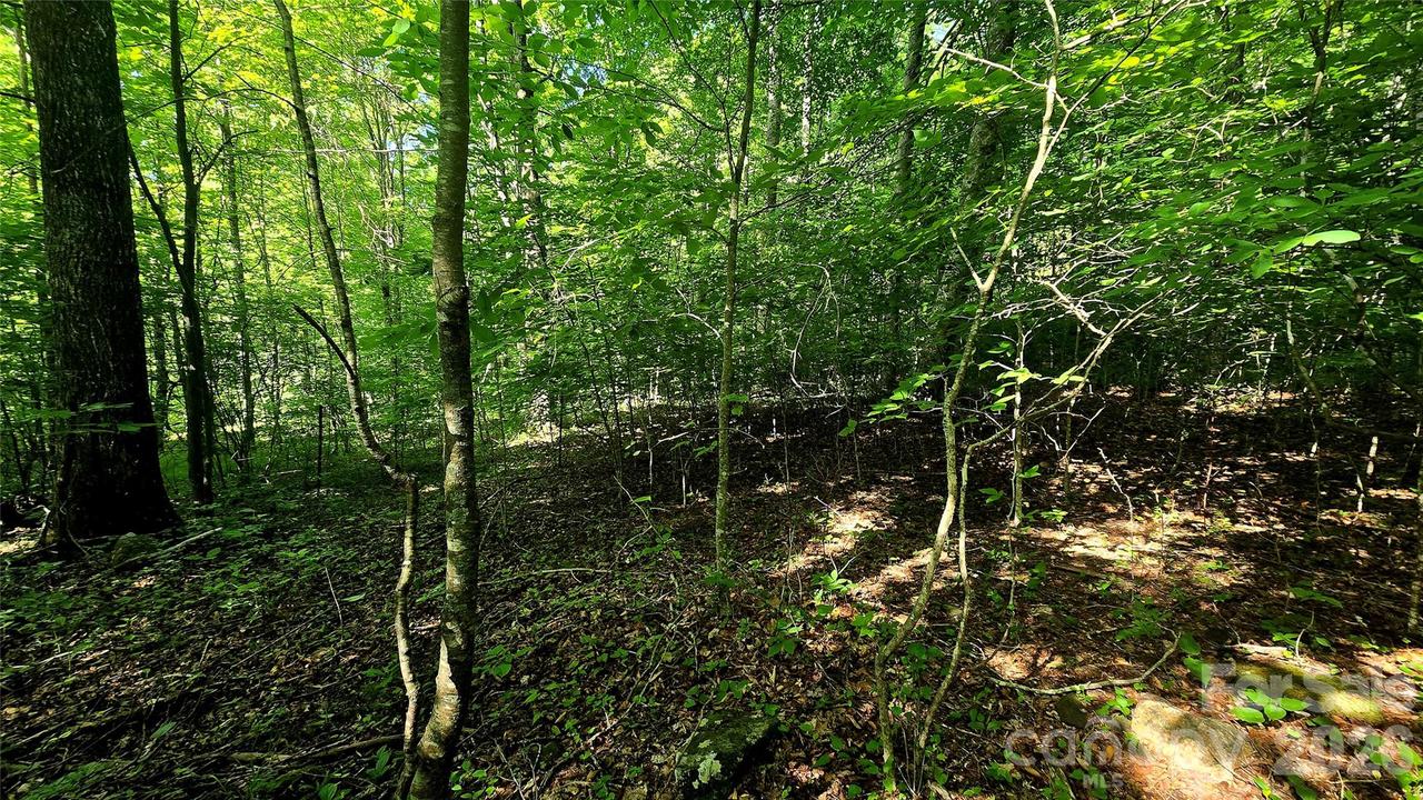 Lot 11 Elk Creek Mountain Pkwy. #11, Todd, NC 28684