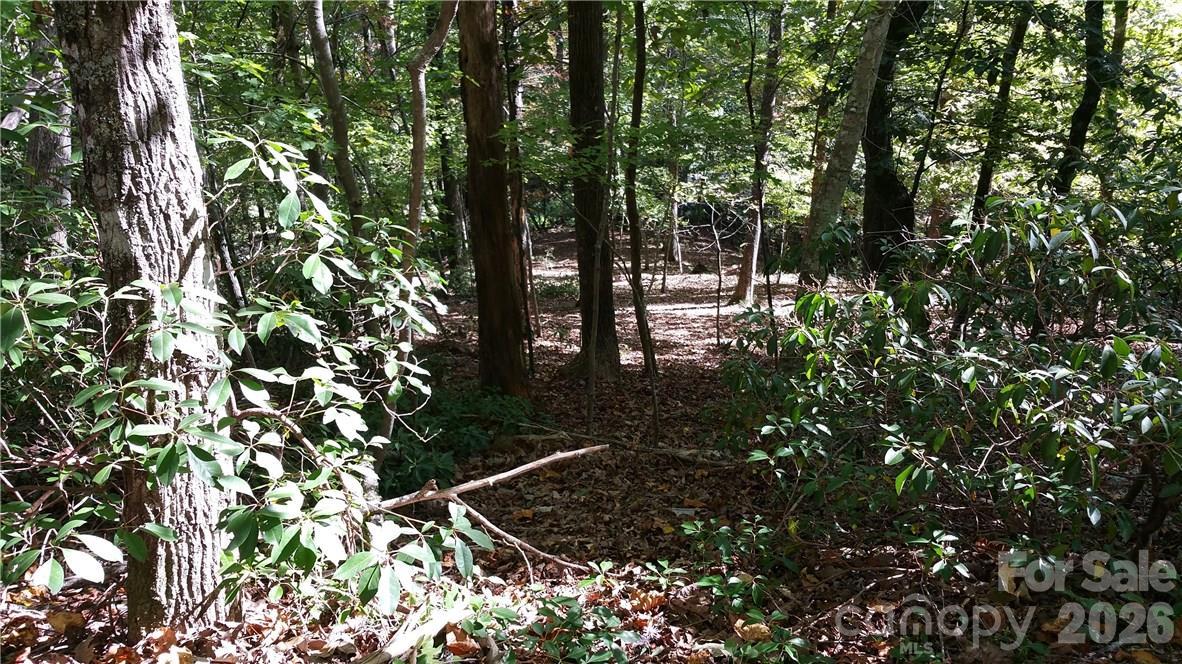 Grandview Dr. #83, Lake Lure, NC 28746