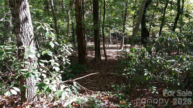New Golf Course Lots For Sale in Lake Lure: September 29th to October 5th