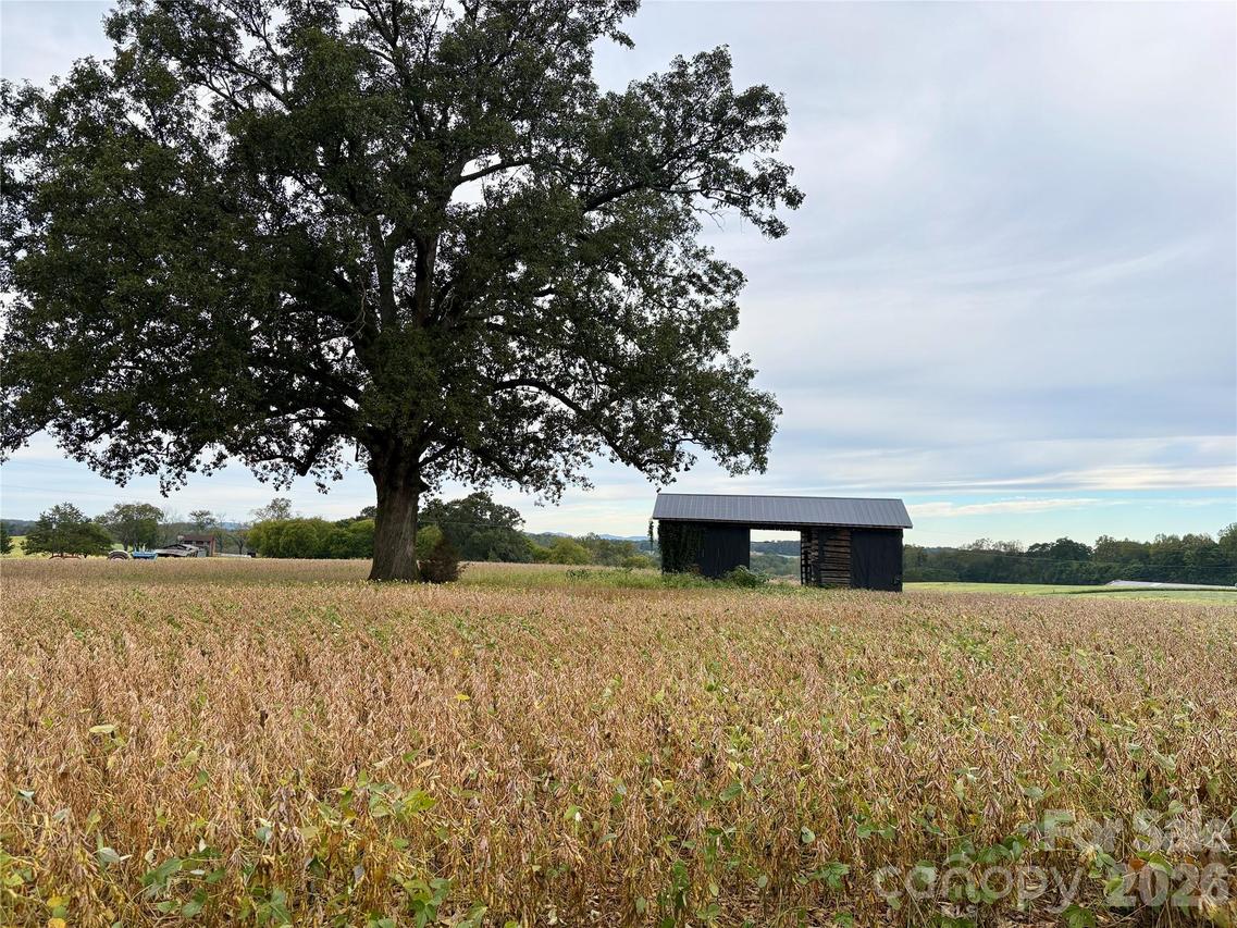292 Williamsburg Rd., Olin, NC 28660