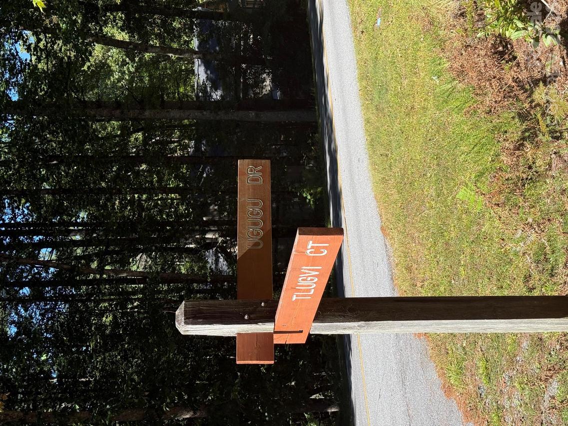 TBD U24 Lot19 Tlugvi Ct. #19/24, Brevard, NC 28712
