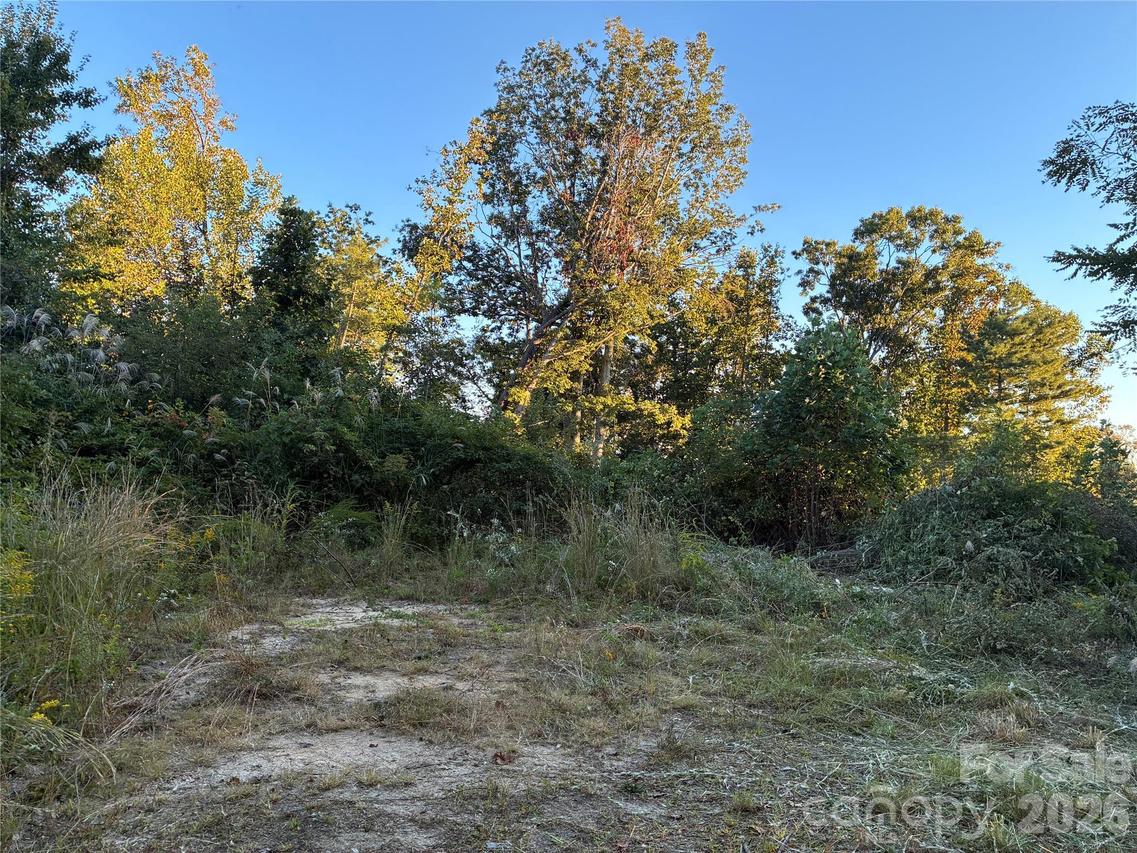 Corn Mountain Rd., Hendersonville, NC 28792
