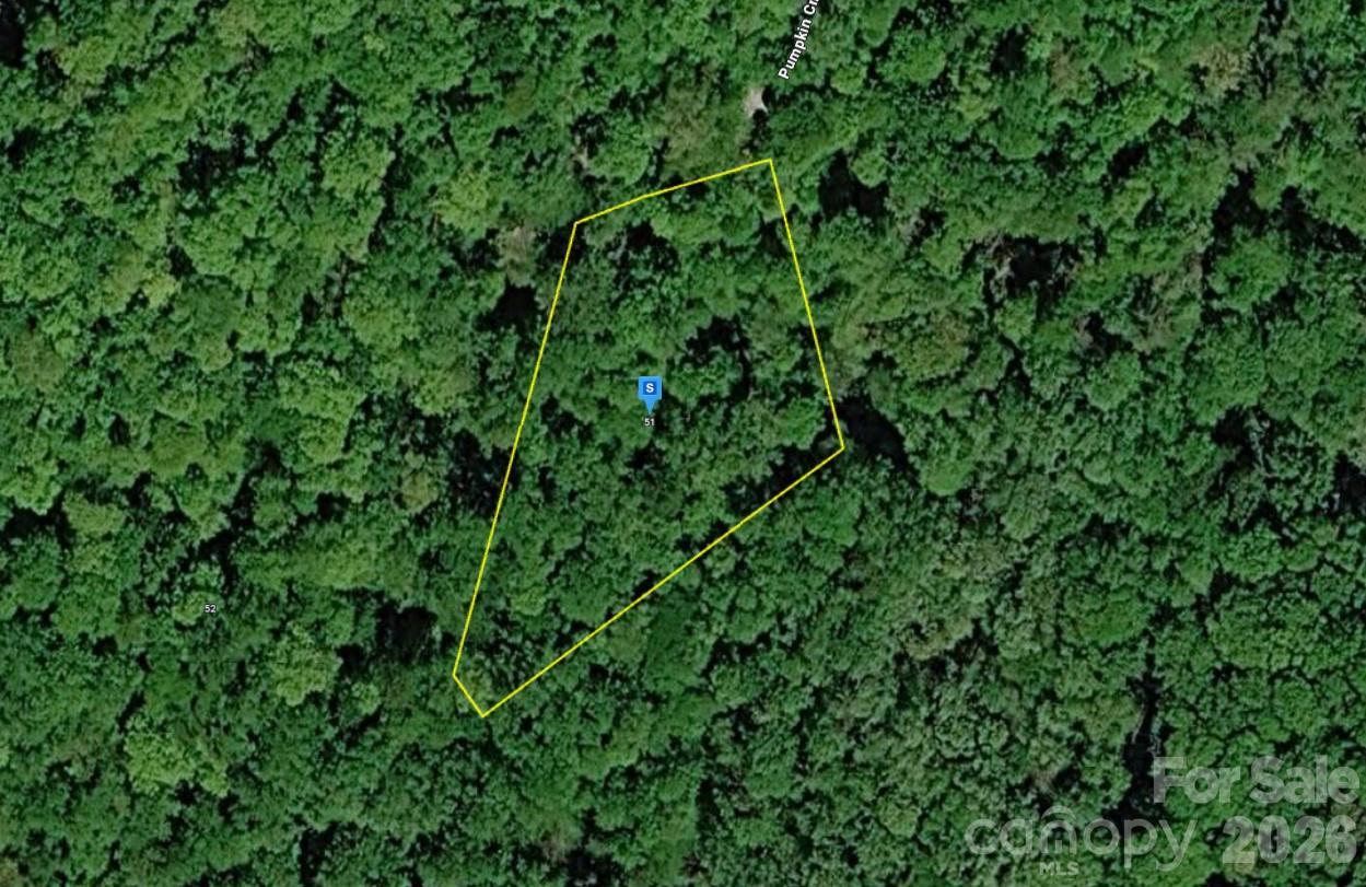 51 Pumpkin Creek Ln., Cullowhee, NC 28723