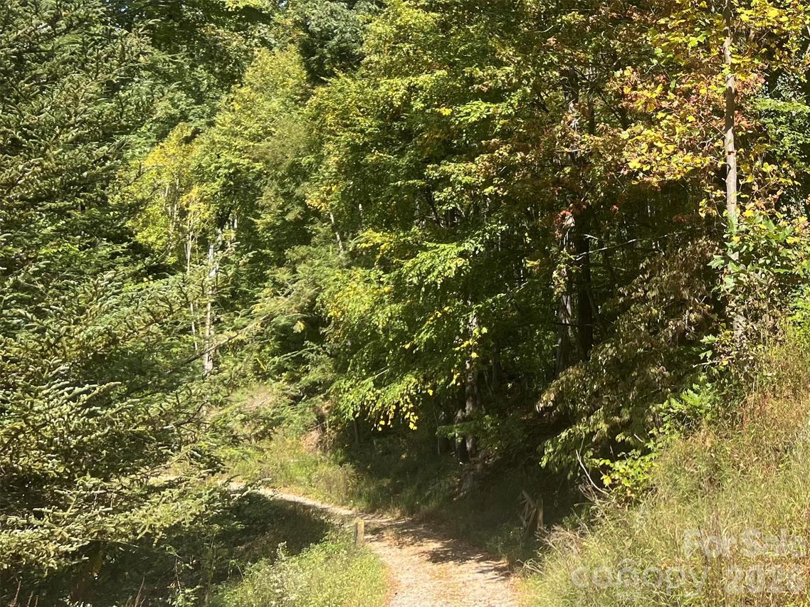 00 Gibson Branch Rd. #7, Clyde, NC 28721