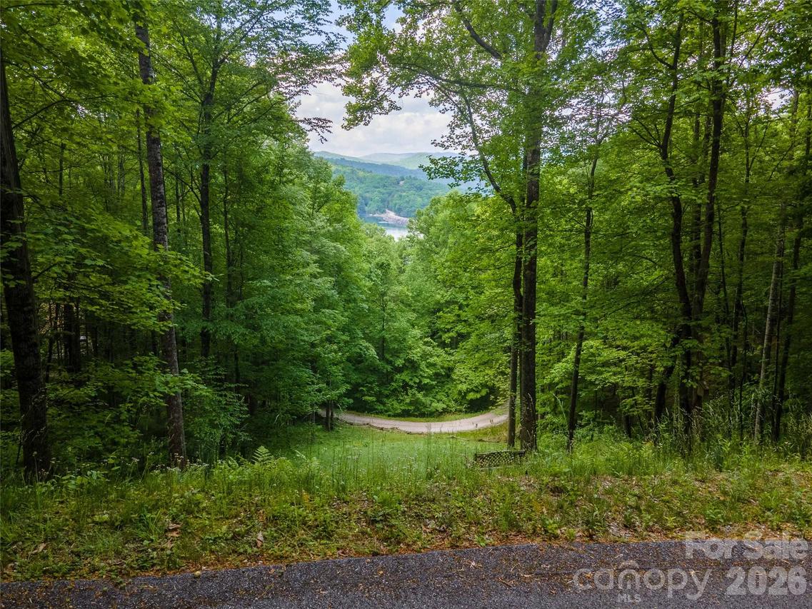 Lt 10 Von Trapp Ln. #10, Tuckasegee, NC 28783
