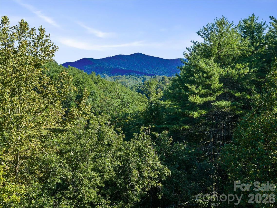 TBD Fog Hollow Dr., Green Mountain, NC 28740