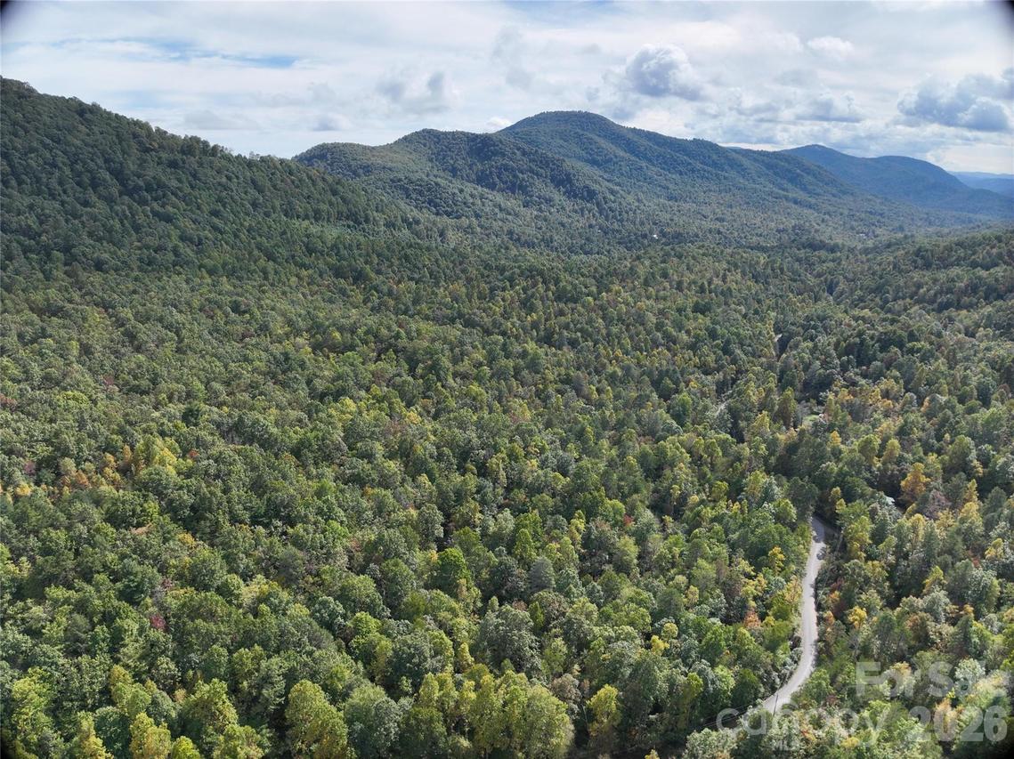 81 Bird Creek Estates Rd., Black Mountain, NC 28711