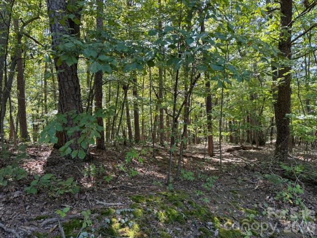 00 Washington Ridge Rd., Statesville, NC 28677