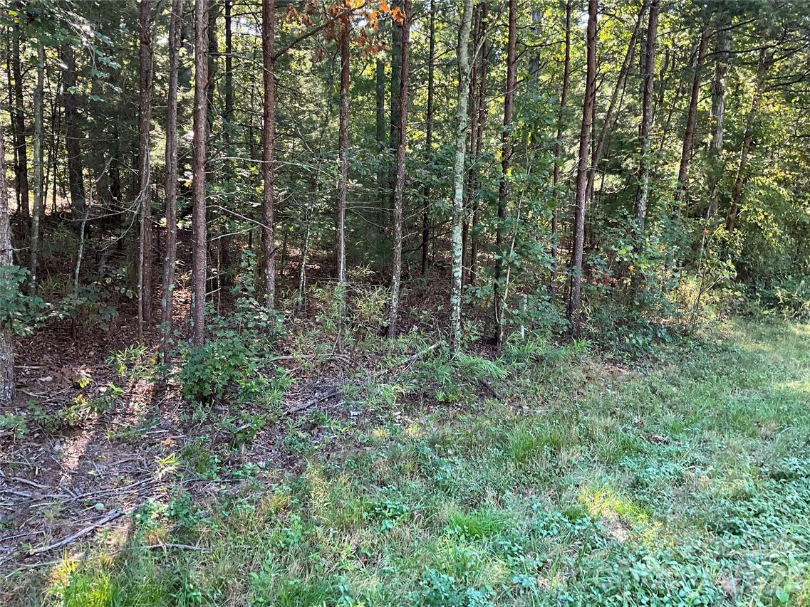 4.63 acres Jessie Mays Ln., Taylorsville, NC 28681