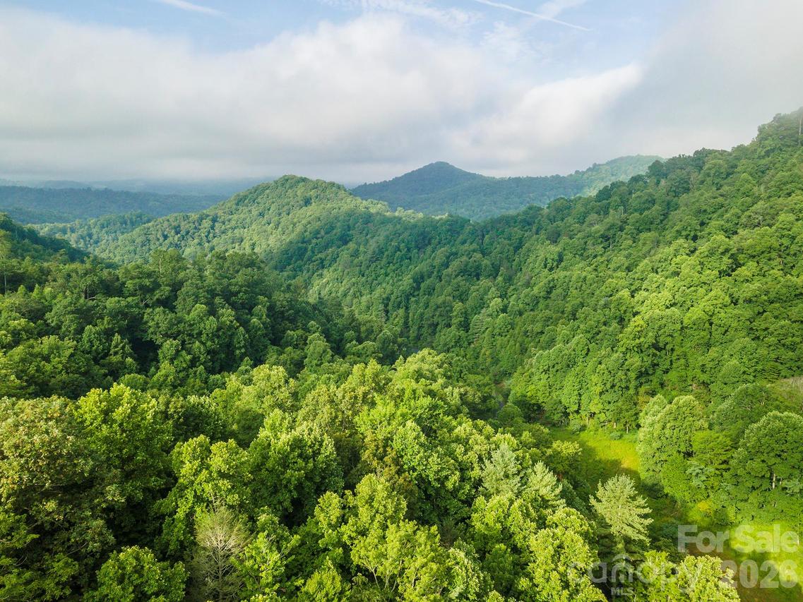 99999 Renfro Rd., Green Mountain, NC 28740