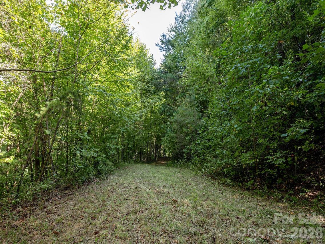 00 Newfound Rd., Leicester, NC 28748