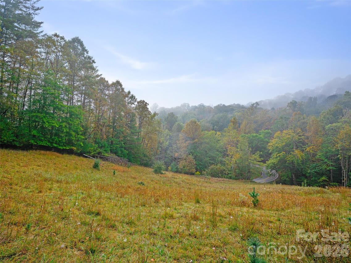 000 Double Island Rd., Burnsville, NC 28714