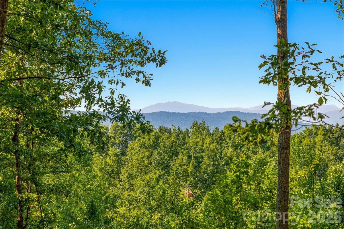 149 + 207 Mossy Oak Tr. #167 + 166, Nebo, NC 28761