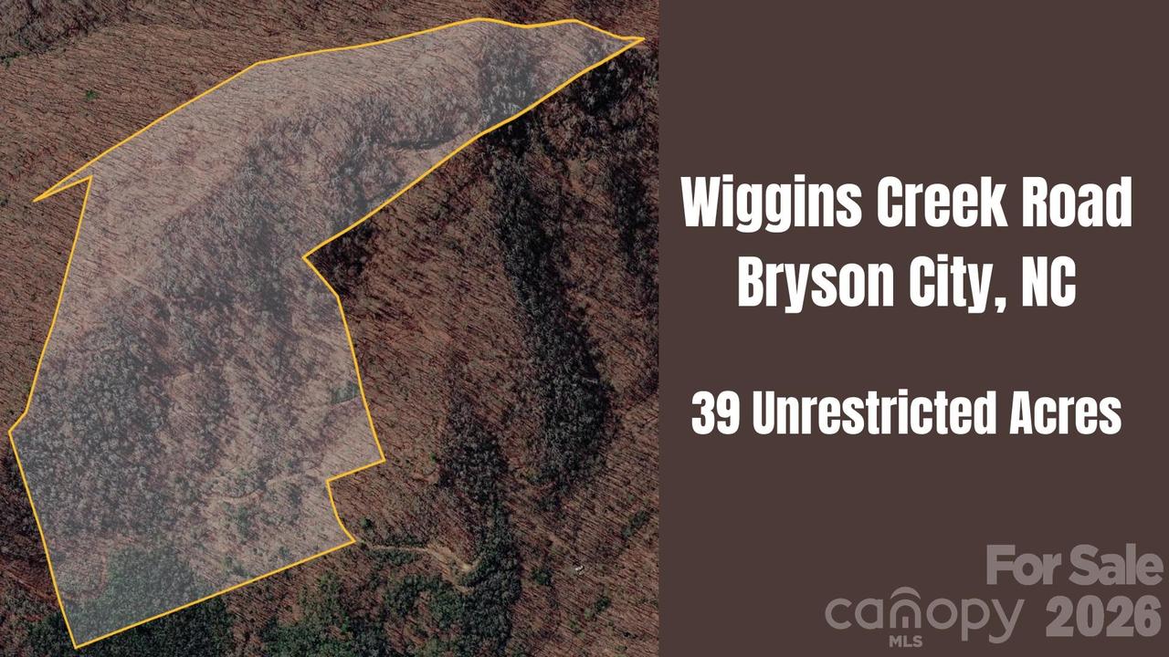 Wiggins Creek Rd., Bryson City, NC 28713