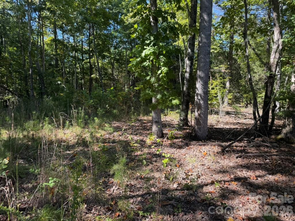 3523 Pax Hill Rd., Morganton, NC 28655