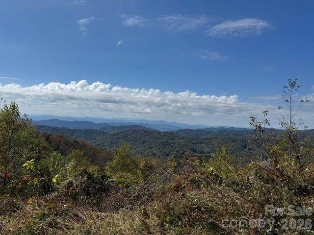 50 Scenic Wolf Ridge Rd., Mars Hill, NC 28754