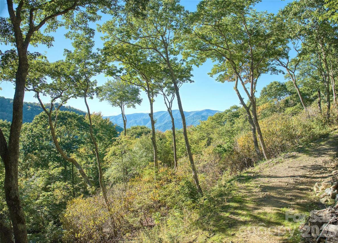 270 Olli Tr., Maggie Valley, NC 28751