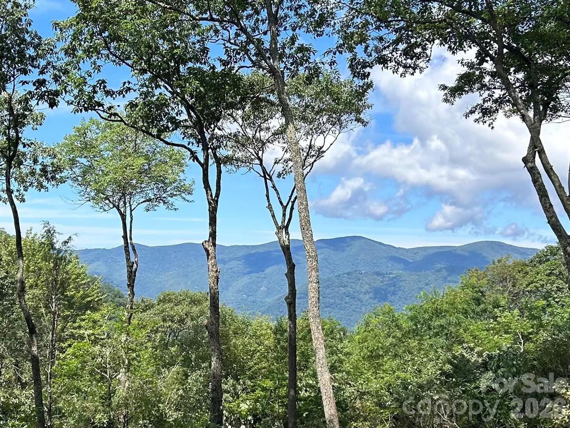 270 Olli Tr., Maggie Valley, NC 28751