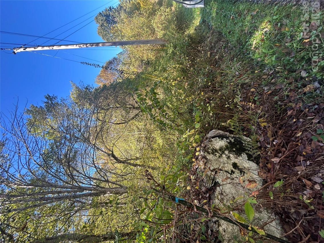 00 Asbury Rd., Waynesville, NC 28786