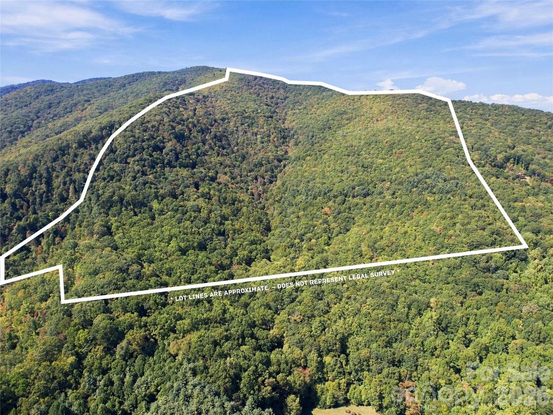 00 Orion Davis Rd., Waynesville, NC 28786