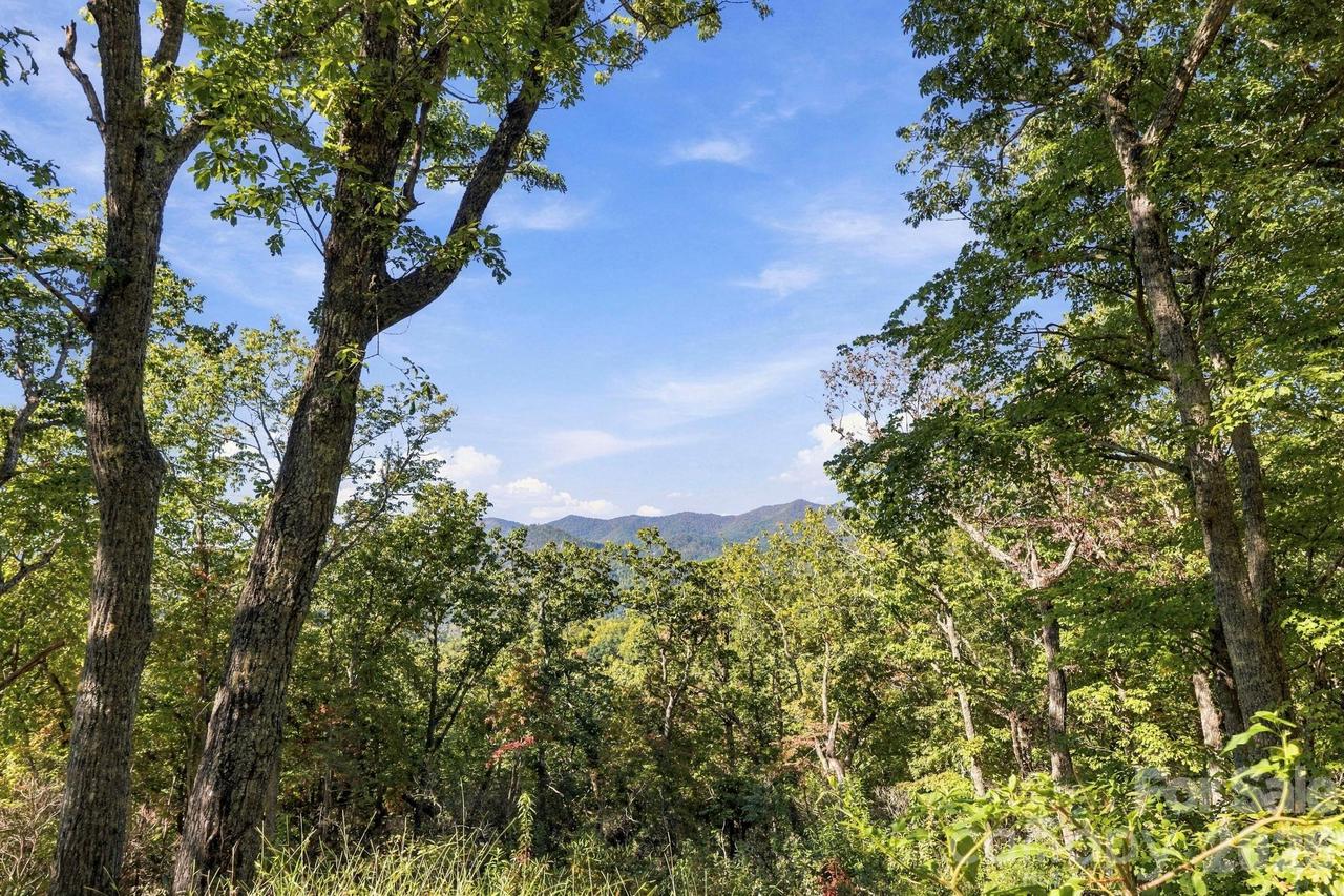 99999 Harrison Hill Rd., Swannanoa, NC 28778