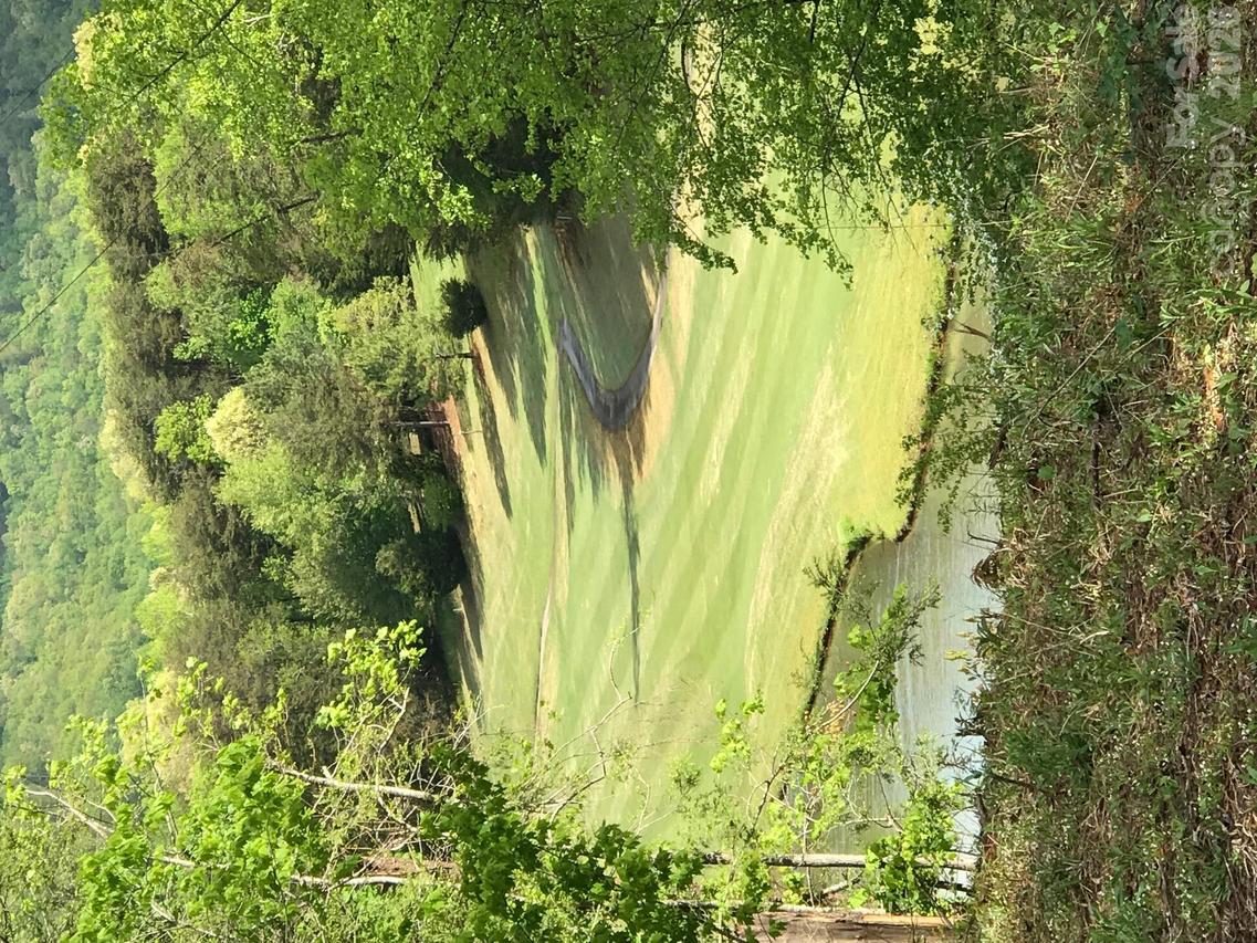 Stonecrest Ct., Lake Lure, NC 28746
