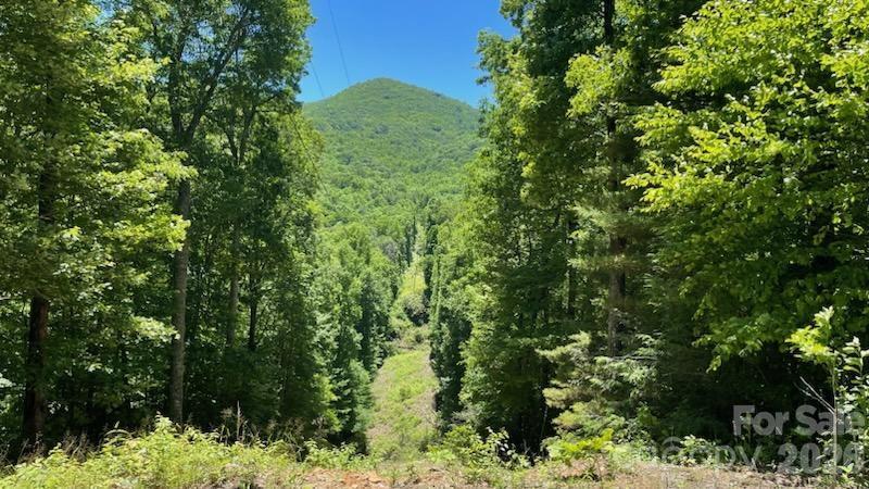1629 White Rock Rd., Cullowhee, NC 28723