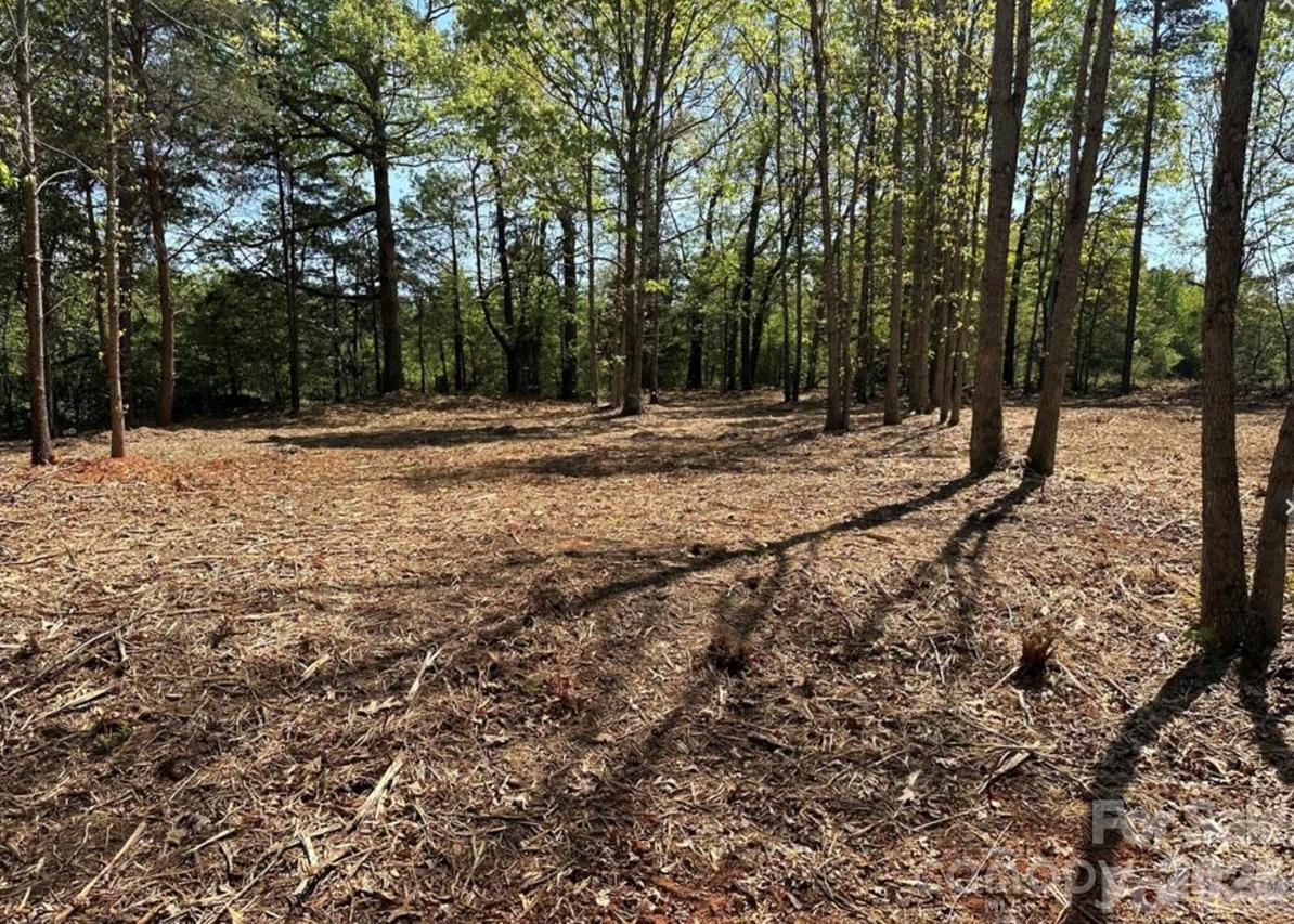 00 Longleaf Pine Dr. #Lot 4, Hiddenite, NC 28636