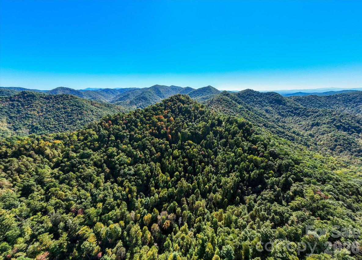 TBD Big Laurel Rd., Marshall, NC 28753