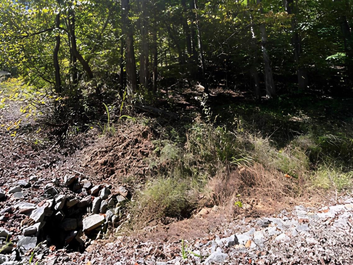 000 Park Tr., Love Valley, NC 28625