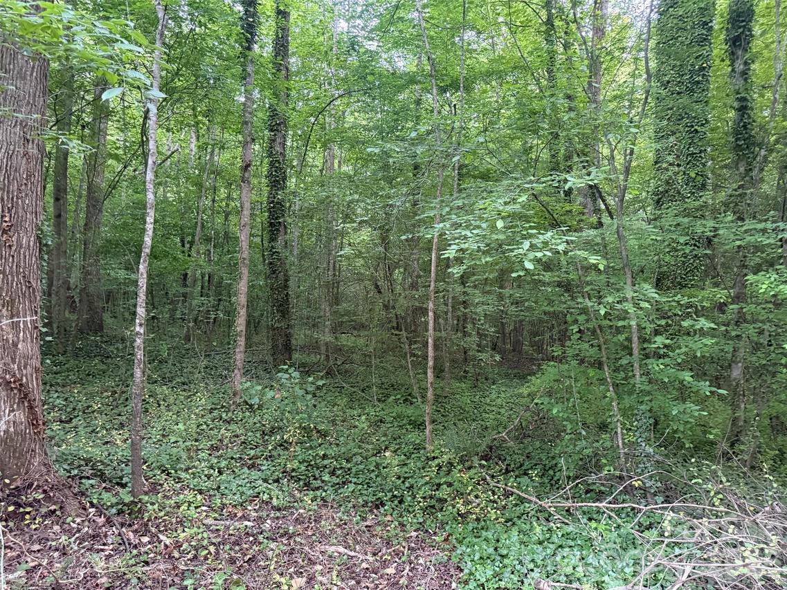 00 Winterhaven Road Rd. #4, Taylorsville, NC 28681