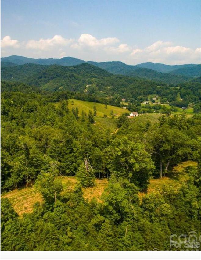 Lot 2, 4, 9-13, 15, 20-22 The Vines Blvd., Marshall, NC 28753