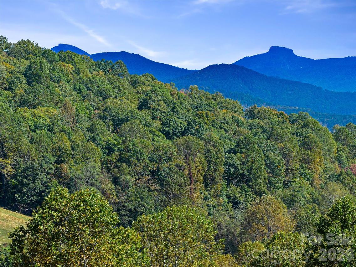 TBD Chestnut Grove Rd., Spruce Pine, NC 28777