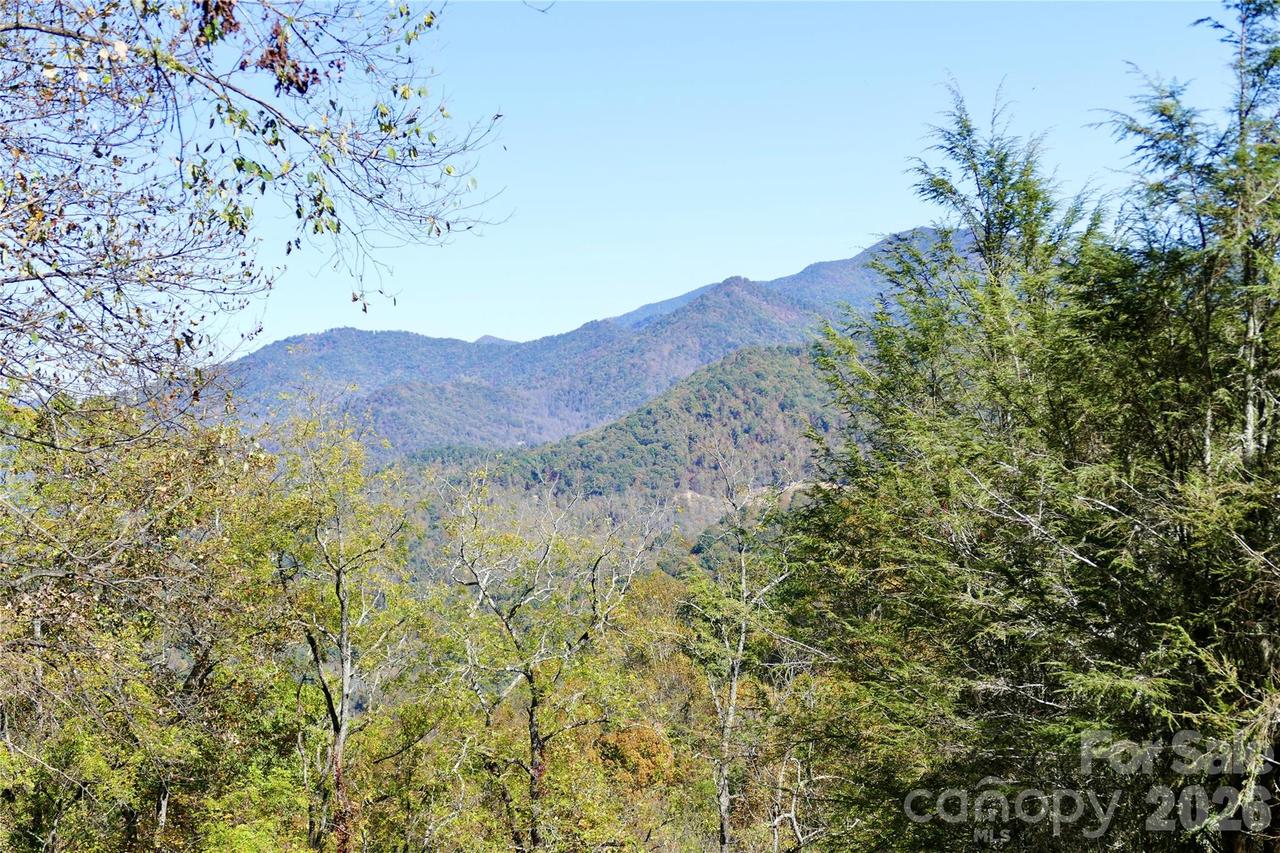 Lot 509 Multiflora Way #509, Waynesville, NC 28785