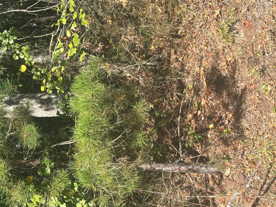 Lot 6 Saint Andrews Dr., North Wilkesboro, NC 28659
