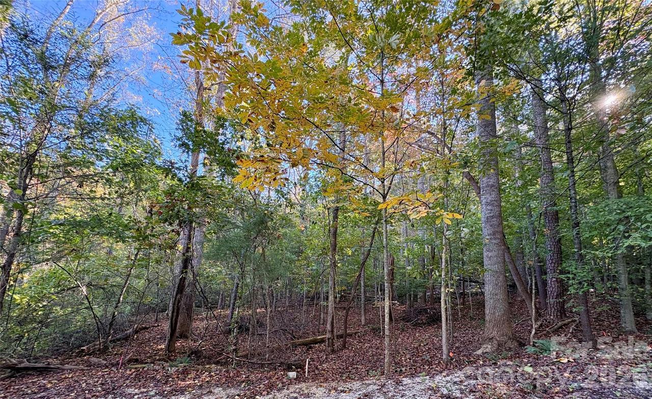 00 Forsythia Hedge Dr., Fletcher, NC 28732