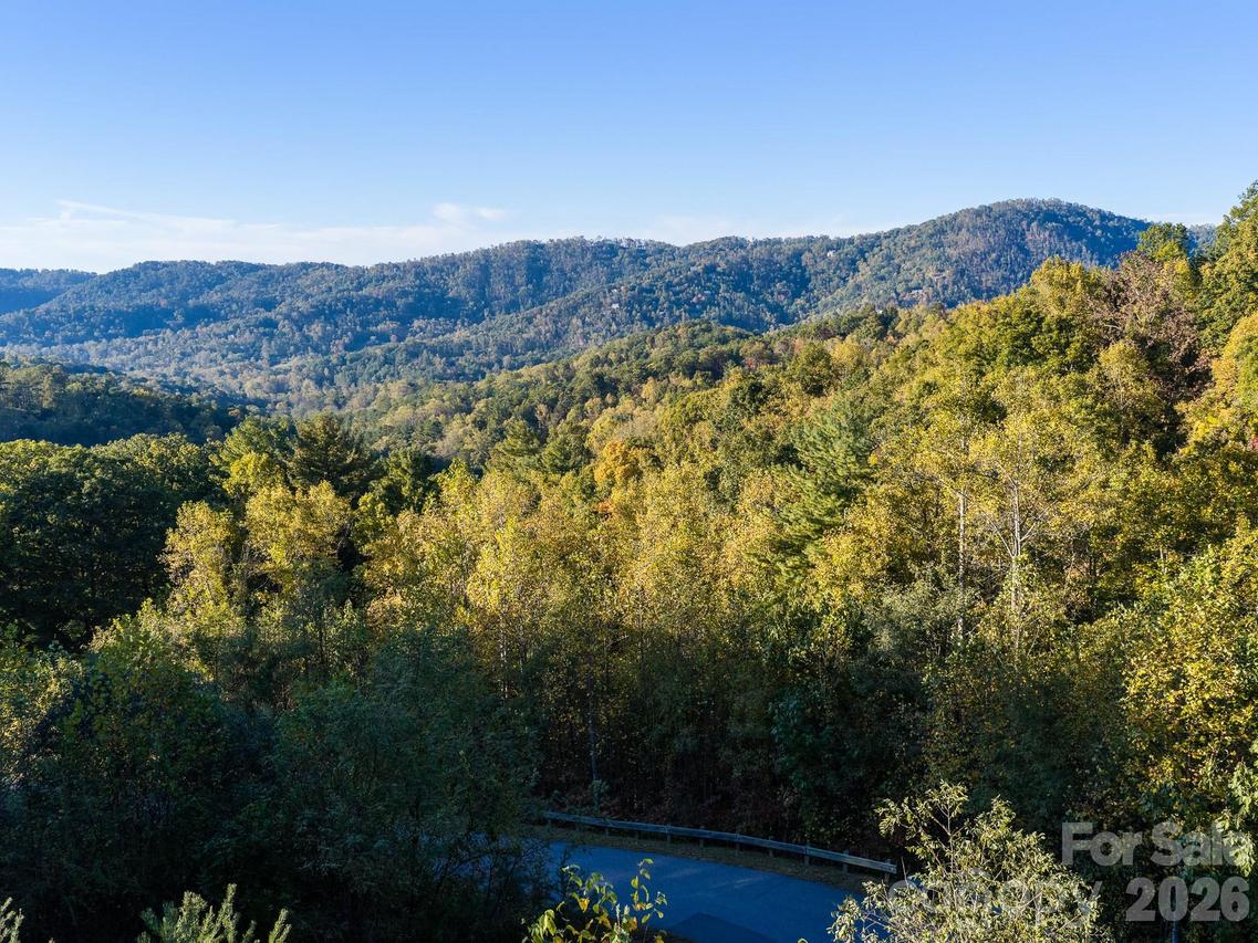 55 Bartrams Walk Dr., Asheville, NC 28804