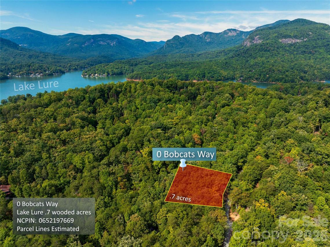 Bobcat Way, Lake Lure, NC 28746