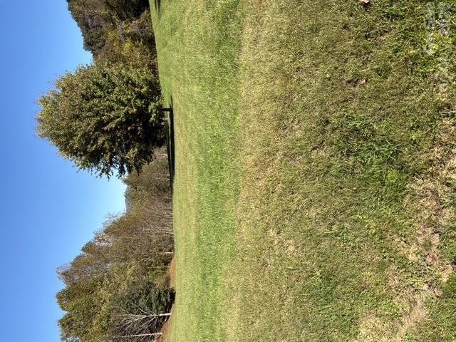 447 Hog Rock Rd., Hendersonville, NC 28792