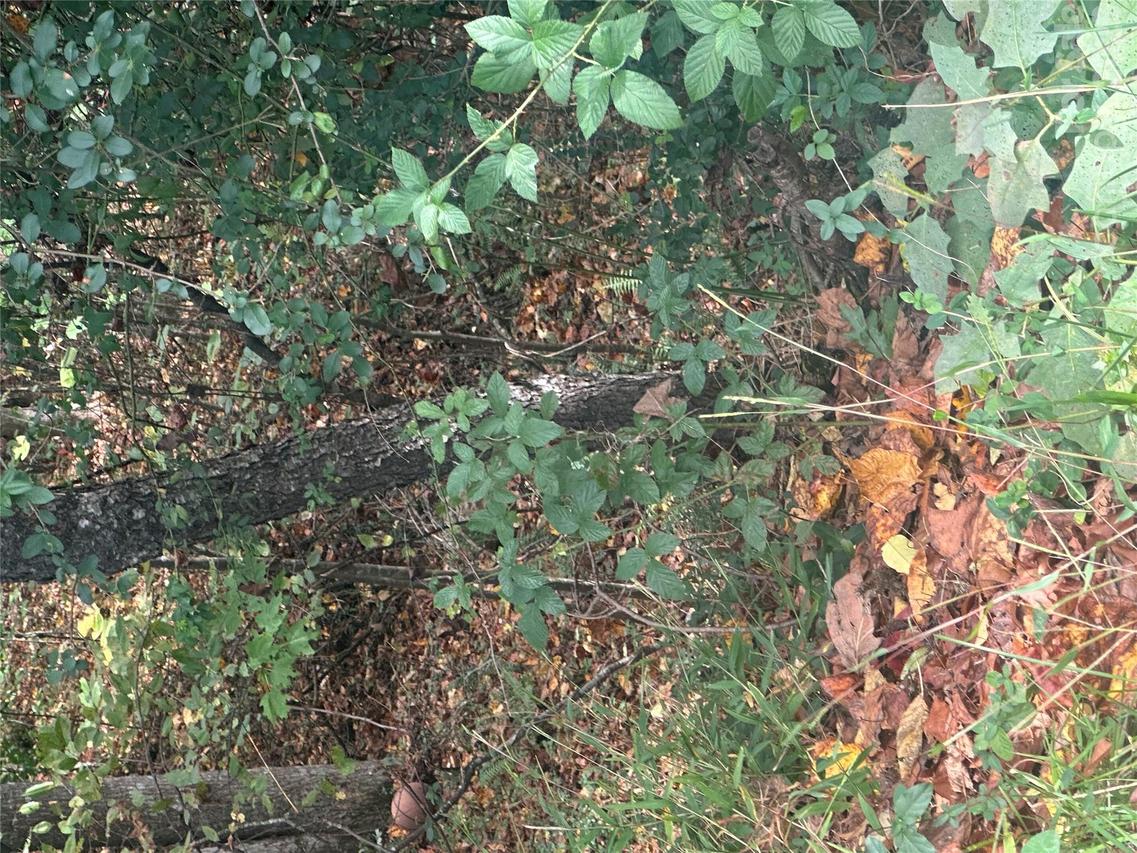 Lot 115 Monk Ct., North Wilkesboro, NC 28659