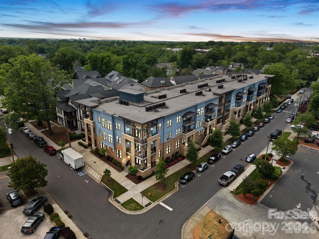 2401 Euclid Ave. #311, Charlotte, NC 28203