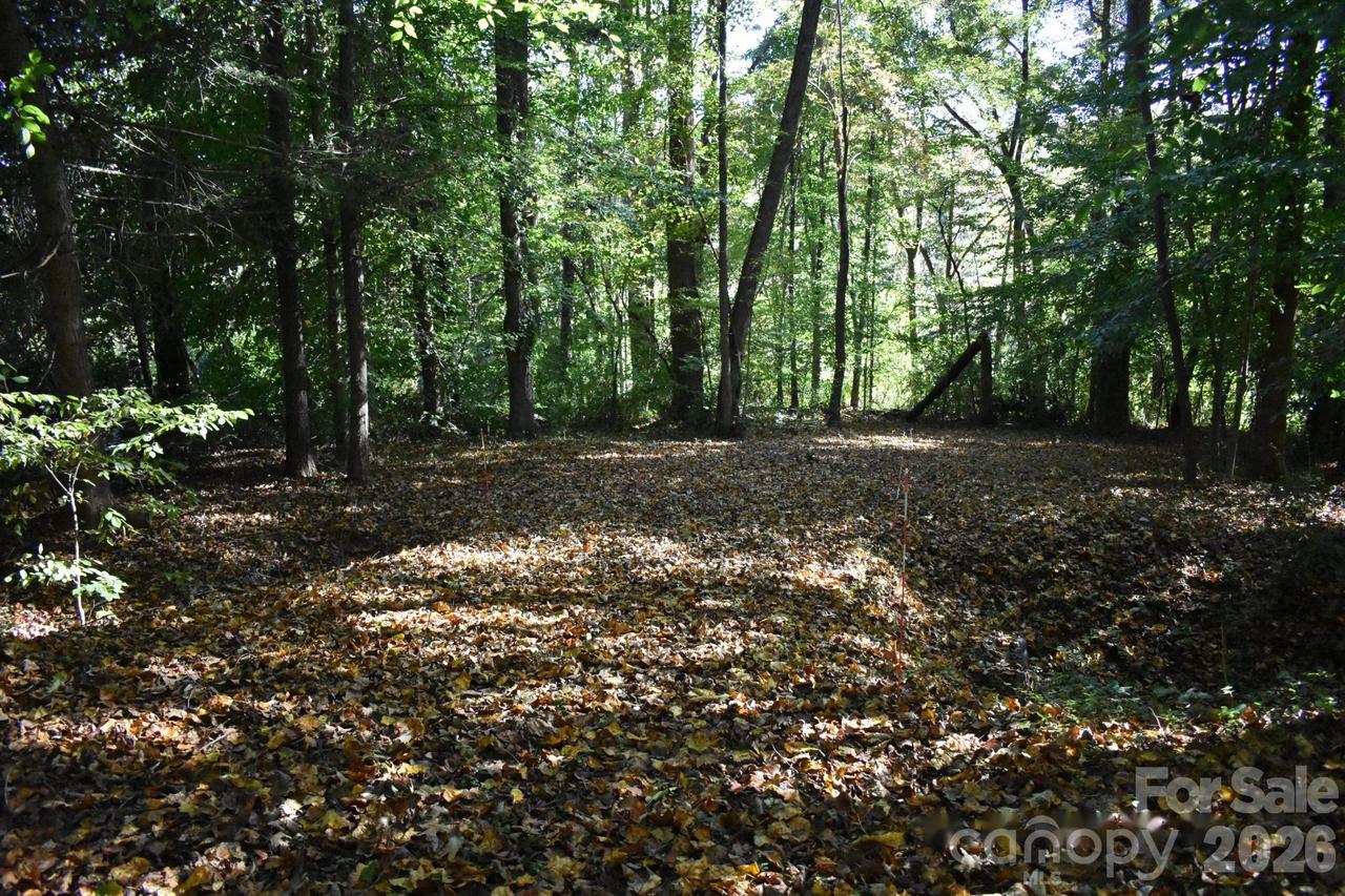 General Griffith Cir. #29, Rutherfordton, NC 28139