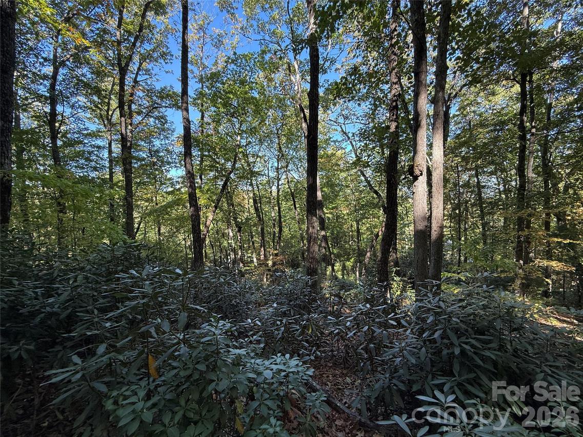 Lot 81 - R Kenmure Dr., Flat Rock, NC 28731