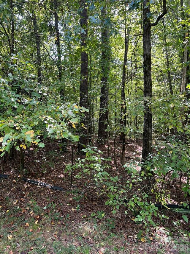 TBD Sanctuary Ln., Lilesville, NC 28091