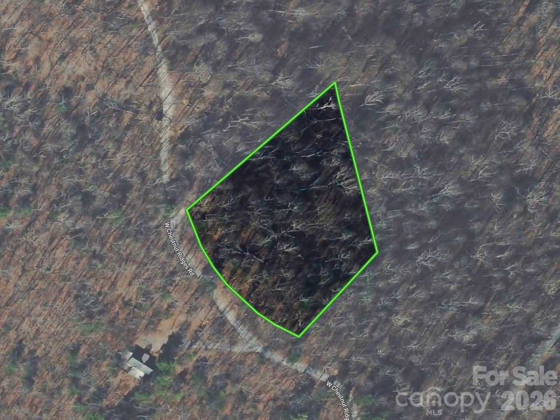 Lot 7 W Chestnut Ridges Rd. #7, Hendersonville, NC 28739