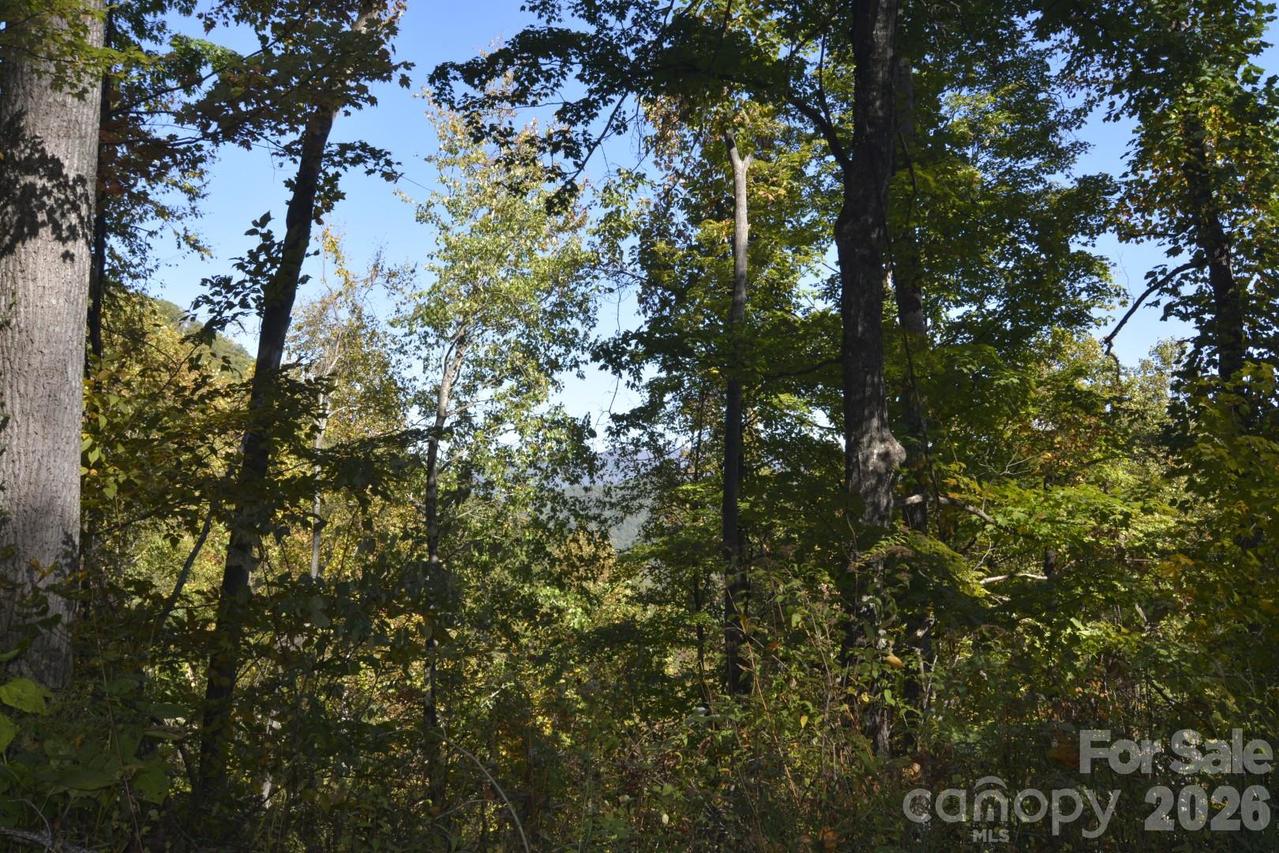 00 Bedford Rd., Barnardsville, NC 28709