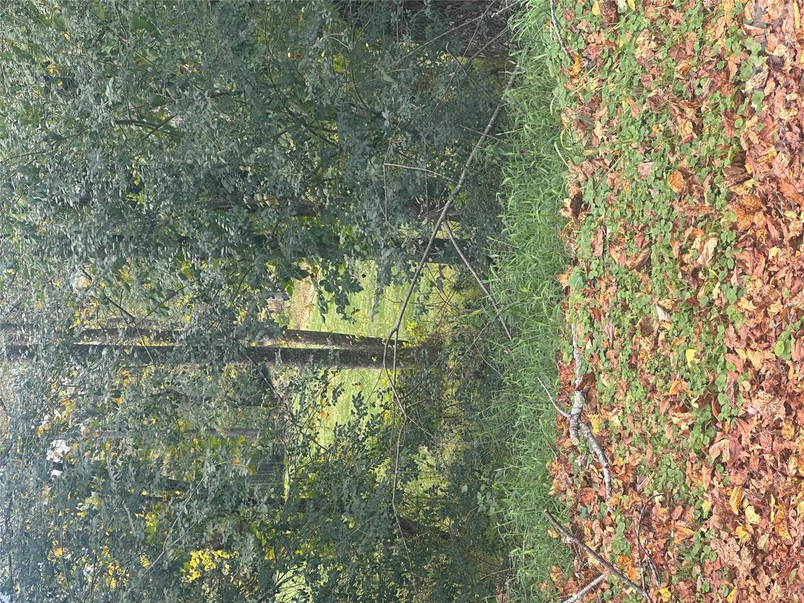 Lot 122 Friar Ct. #122, North Wilkesboro, NC 28659