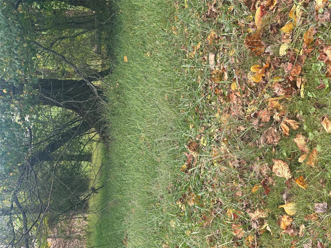 Lot 121 Friar Ct. #121, North Wilkesboro, NC 28659